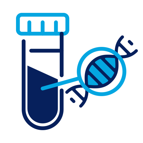 como-funciona-icon-5